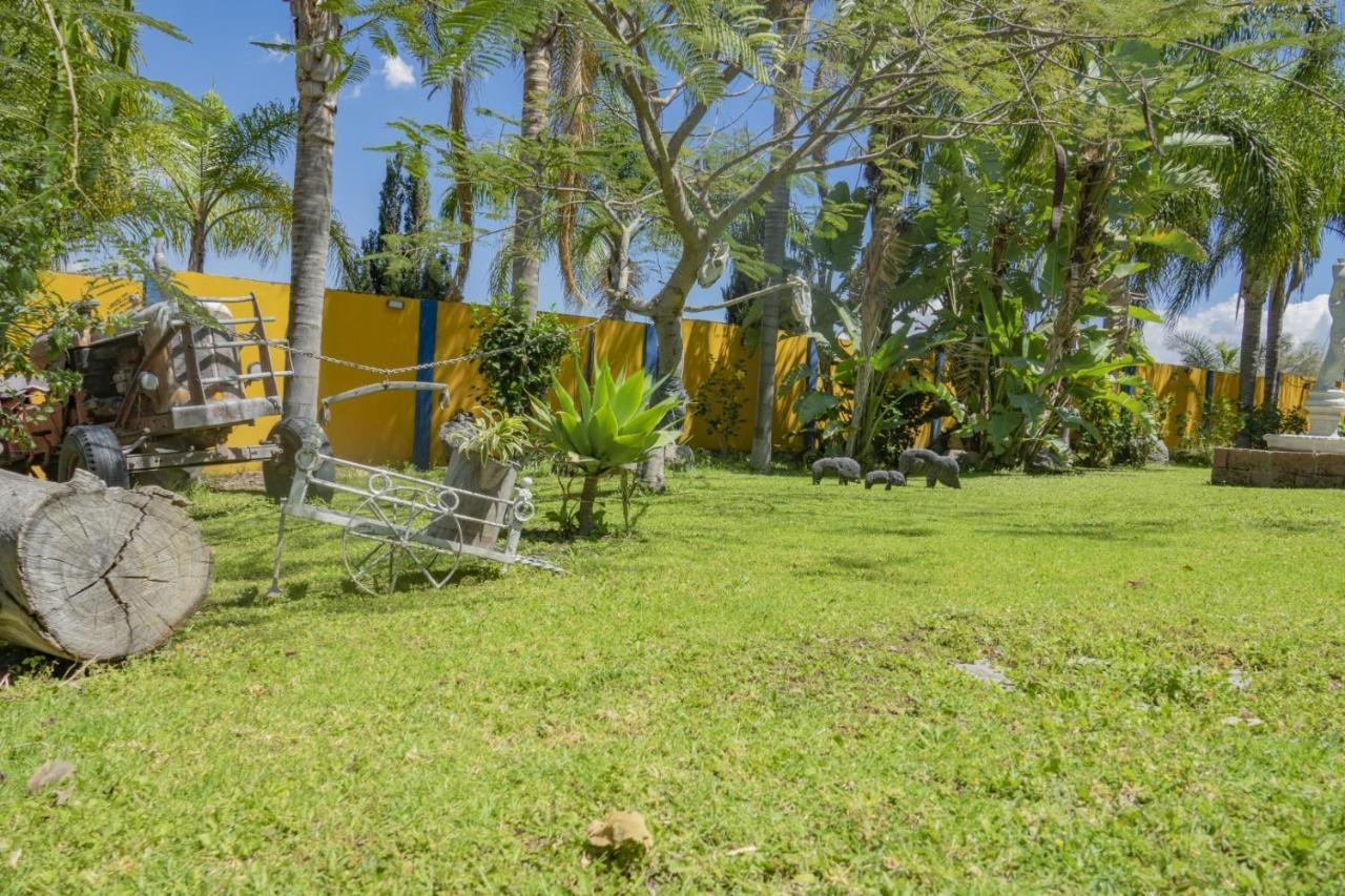 Hotel & Bungalows Las Palmas Villa Corona Εξωτερικό φωτογραφία